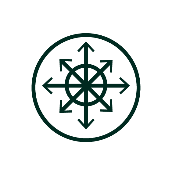 New NTD Road map 2021–2030. NTDs: together towards 2030. Pillar 2.