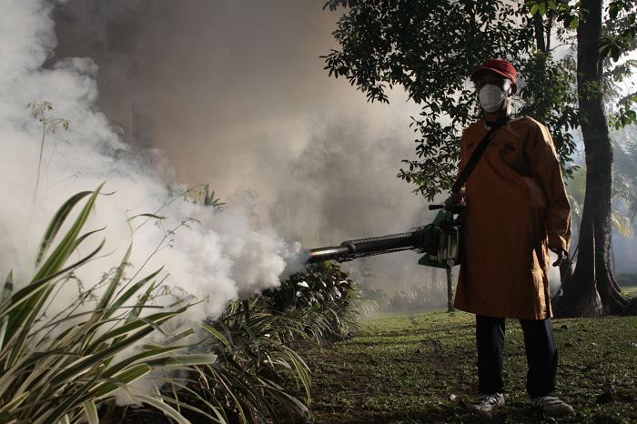 A person in protective clothing and a mask is fogging an outdoor area to control mosquito populations.